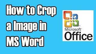 How to crop image in MS word