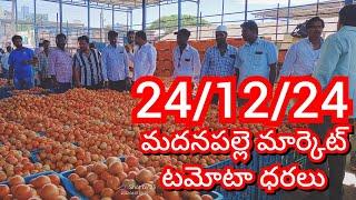 24-12-24 Madanapalle Tomato Market price Today || Today Tomato Market Rate in Madanapalle #today