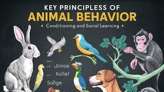 Key Principles of Animal Behavior - Conditioning and Social Learning