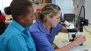 Skilled Migration - Australian Cotton Research Institute, Narrabri, Ellen Iramu