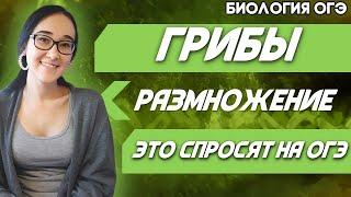 ОГЭ Биология 2022 | ЕГЭ | Размножение грибов | Профессионалы раскрывают карты