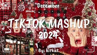 TIKTOK MASHUP DECEMBER 2024 (NOT CLEAN) 