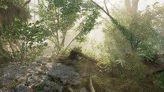 Unreal Engine 5 Level Design - Forest Timelapse