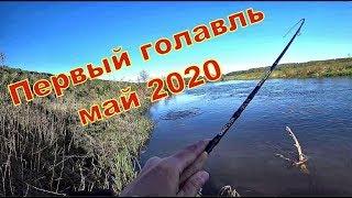 Рыбалка весной на реке. Первый голавль 2020 года