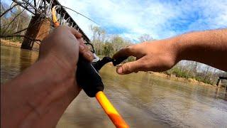 Guarantee bait hickory shad can't resist!!