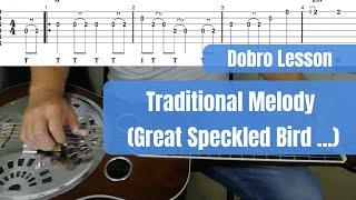 Traditional Melody (Great Speckled Bird) | Dobro Lesson