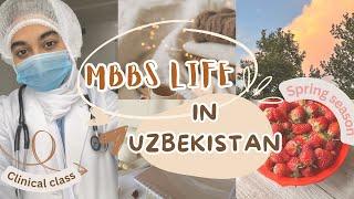 MBBS IN UZBEKISTAN / study vlog/ productive day in my life / Aesthetic vlog , Malayalam