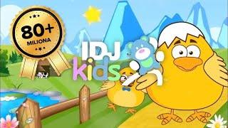 IMA JEDNO PILE // NAJLEPSE DECIJE PESME // @IDJKids