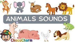 Animal Sounds for Kids | Learn Animal Names and Sounds | Fun Educational Video | ChocoCharm Kids