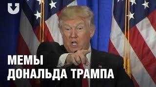 Какими мемами запомнился Дональд Трамп за год руководства США