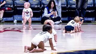 Babies Compete at 2024 Baby Crawl Race ️