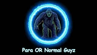 Para OR Normal Guyz | Vic Lagina: Porn, Ghosts, and the Price of Fame