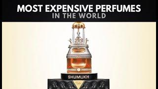 The 10 Most Expensive Perfumes in the World | Data Planet