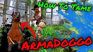 ARMADOGGO How To Tame Guide!! How To Tame the Armadoggo on Extinction in ASA