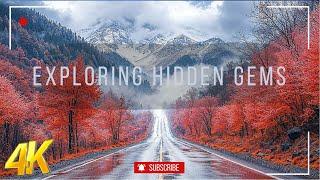 Exploring Hidden Gems of Nature in 8K HDR 60fps Dolby Vision