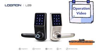 LOQRON L29 Fingerprint Door Lock - Product Introduction