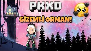 PK XD KİMSENİN BİLMEDİĞİ KARA ORMANA GİTTİM! / GÖKYÜZÜNDEKİ GİZEM🫢