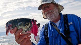 Seal Attack! Epic Jig Fishing Action + Trophy Catch and a Submarine!