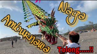 #layangannaga#trainnaga#komamkite Naga amburnawa mengamuk setelah sekian lama ngandang