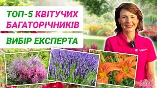 ТОП-5 Багаторічні квіти, вибір експерта | Многолетние цветы, выбор эксперта