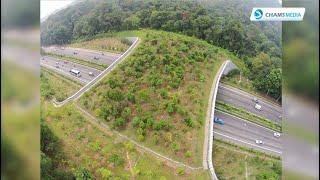 Construction of Kenya's First Wildlife Overpass in Eburu Ecosystem