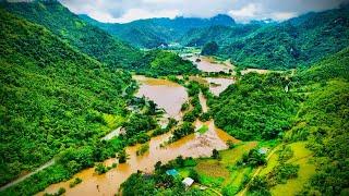 Kinh Hoàng Lũ Ống Trong Đêm Thổi Bay Thung Lũng Ruộng Mới Cấy, Gia Súc Chạy Tan Tác. Phuc Bang