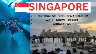 FUN AT SINGAPORE SINGAPORE TOUR GUIDE UNIVERSAL STUDIO AND BEACH CHINATOWN AND SEA AQUARIUM