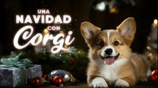 Una Navidad Con Corgi  25 De Diciembre | Promo @TcTelevision10