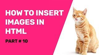 HTML Tutorials For Beginners | How To Add - Insert Image In Html From A Folder Using Notepad