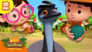 EMU WINS THE RACE!  | FASTEST RUNNERS | Leo the Wildlife Ranger | Kids Cartoons