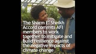 Sharm El-Sheikh Accord on Inclusive Green Finance 2022