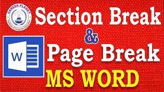 MS Word- Page Break and Section Break in Word Document (Hindi)|Learn MS office and Basic Computer