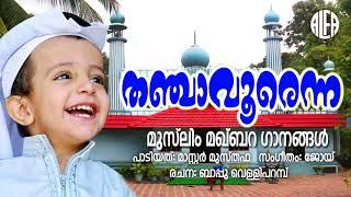 തഞ്ചാവൂരെന്ന നാട്ടിൽ | Muslim Makbara Audio Song | Master Musthafa, Bappu Velliparamba