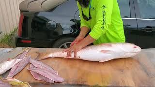 HOW TO FILLET RED FISH to BULL REDS FISH FASTER Most Satisfying Most Calming