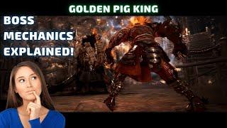 BDO Golden Pig King - Boss Mechanics explained - Land of the Morning Light - Boss Blitz #blackdesert