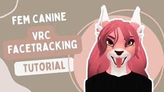 Fem Canine VRChat Facetracking Tutorial