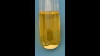 Test for Barium (Ba) Ion