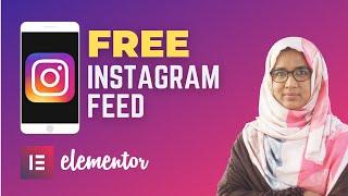 Instagram Feed Elementor - How to add instagram feed to elementor Wordpress website