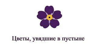 Фильм о геноциде армян "Цветы, увядшие в пустыне".