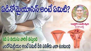 ఏడినోమైయాసిస్ అంటే ఏమిటి?ఎండోమెట్రియం అంటే ఏమిటి దీని పనితీరు ఎలా ఉంటుంది?