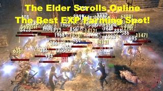 The Best EXP Farming Location In The Elder Scrolls Online!