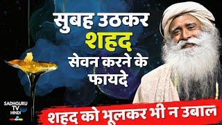 शहद के फायदे | रोज सुबह उठकर सेवन करे | Sadhguru Tv Hindi | Importance of Having Honey in Morning