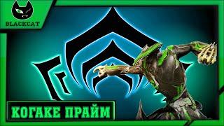 Warframe : Когаке Прайм . Обзор и Билды . ( боевые костеты )