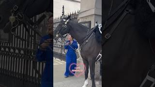 I LOVE KINGSGUARD #kindness #kingsguard #ressacamental #kingshorse #london #capcut