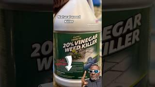 All Natural Weed Killer Vinegar #lawncare