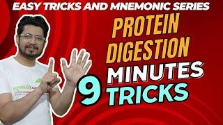 Protein digestion | Chemical digestion of proteins | list of enzymes | tricks to remember