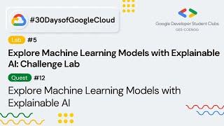 Explore Machine Learning Models with Explainable AI Challenge Lab