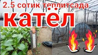 2.5 сотик теплитсада катёл ишлаб келмокда #katyol #катёл #теплица #печка #теплодар #katyoluz #через