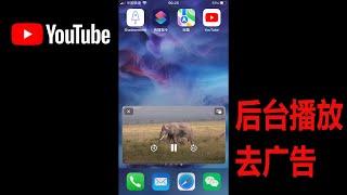 你可以不用但是必须知道的YouTube使用技巧 原生支持后台播放和去广告