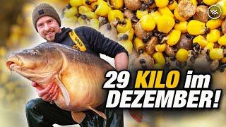 Karpfenangeln im Winter  auf Monsterfische mit Dosenmais